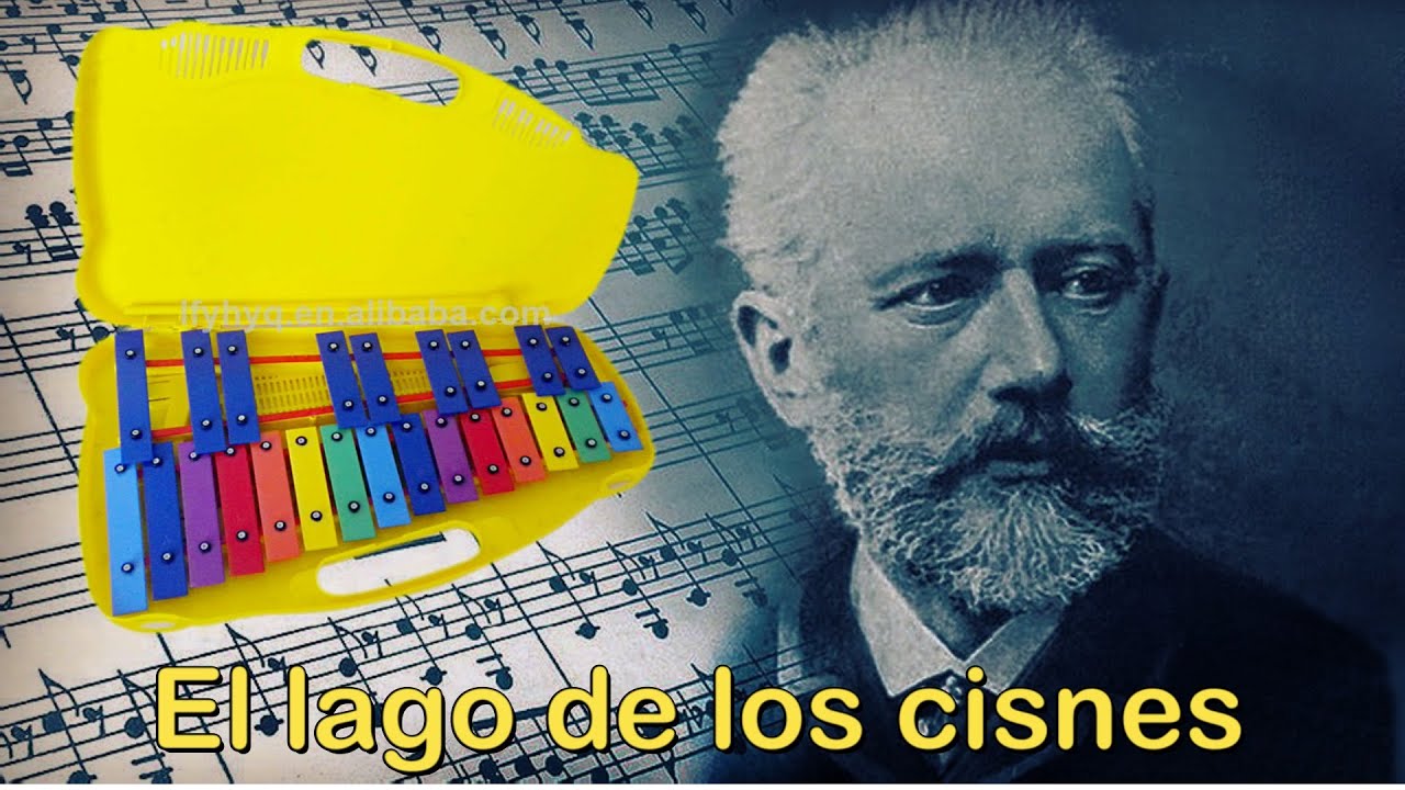 El Lago de los Cisnes | XILÓFONO | Metalófono | Tutorial 🎶