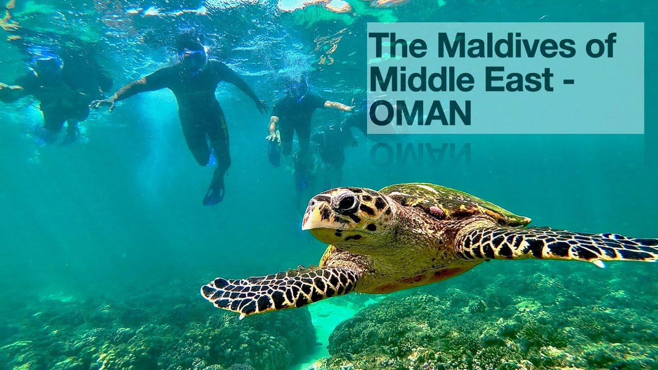 Daymaniyat Islands | The Maldives of Middle East - OMAN | Snorkeling and Diving | The Nature Reserve
