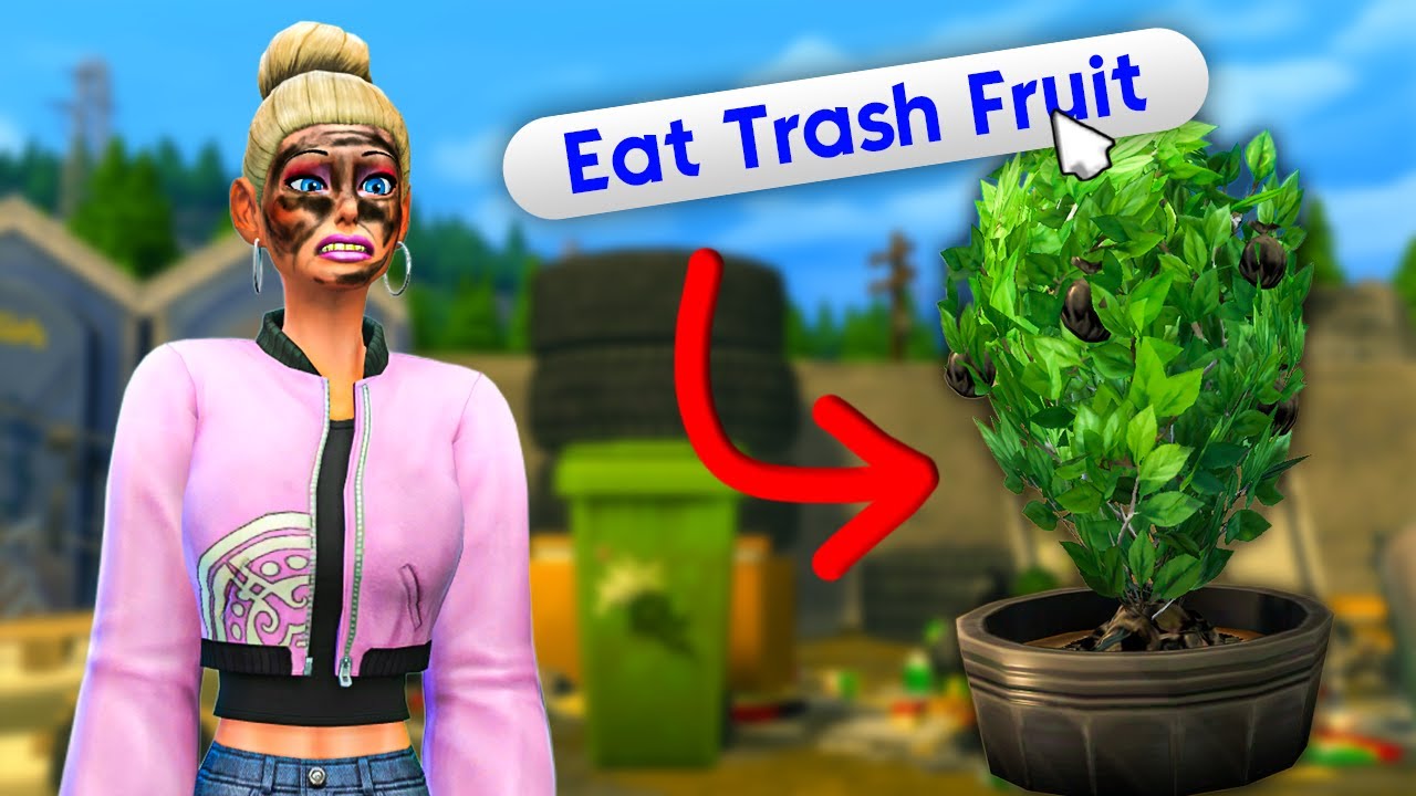 Can my sims survive living in garbage?