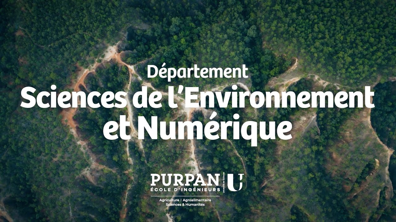 Département Sciences Environnement et Numérique - La recherche à PURPAN