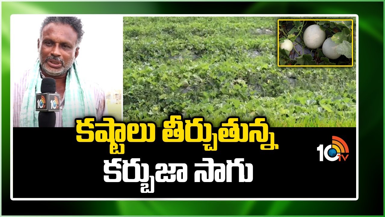 కష్టాలు తీర్చుతున్న కర్బుజా సాగు | Kharbuja Cultivation | Matti Manishi | 10TV