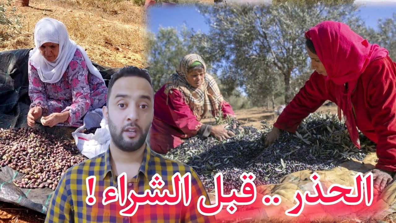 تكثيف عمليات مراقبة جودة زيت الزيتون فـ #المغرب بسبب كثرة الغش ( مع اجواء #سلوان ) .. Nador