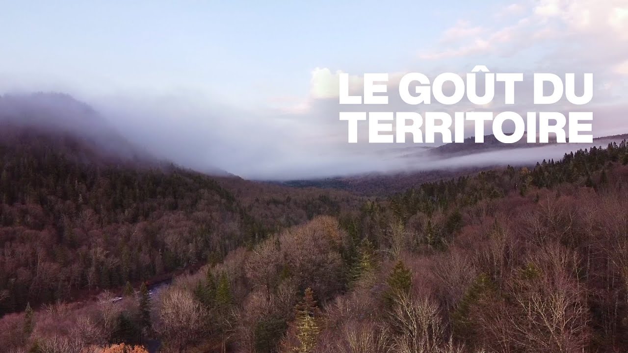 L'acériculture, grand format | Le goût du territoire