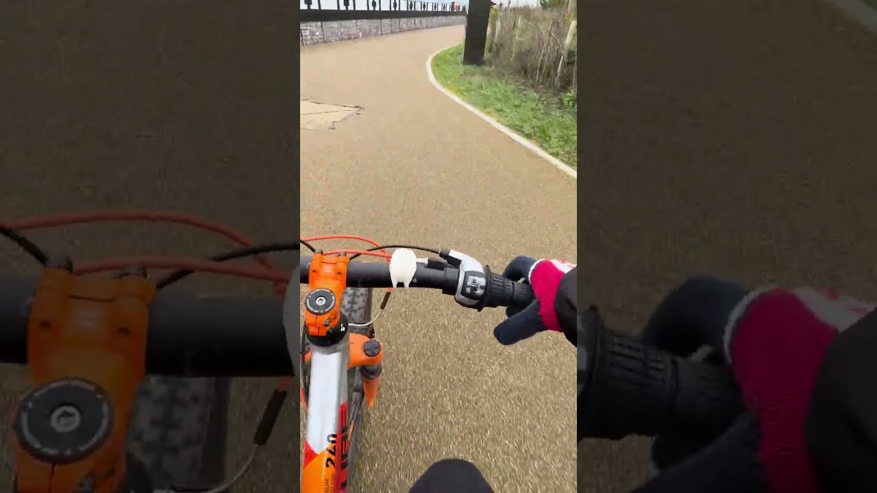 Dublin Port Greenway Cycle