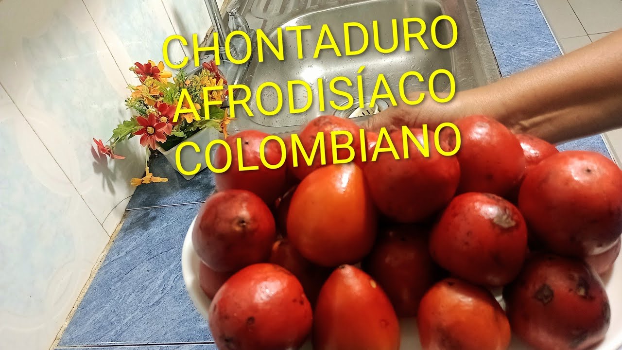 COMO COCINAR CHONTADURO en OLLA a PRESIÓN, AFRODISÍACO, RICOS y FACIL 