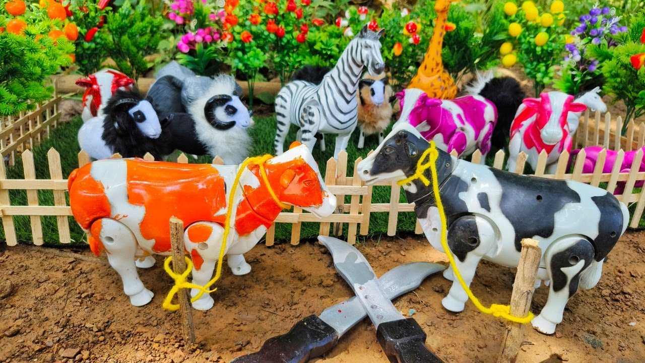 WADIDAU‼️PROSES POTONG SAPI KURBAN SAPI LUCU🐮🦓🐘KAMBING SINGA GAJAH KUDA‼️PROSES SAPI MELAHIRKAN‼️