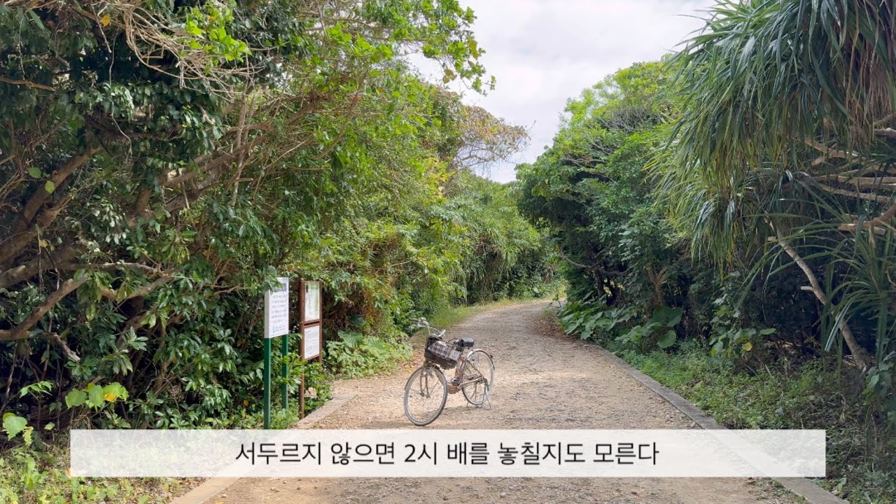 나의 오키나와｜오키나와에서 배타고 다시 구다카섬(久高島)으로 들어가 자전거 타고 산책하기🚲