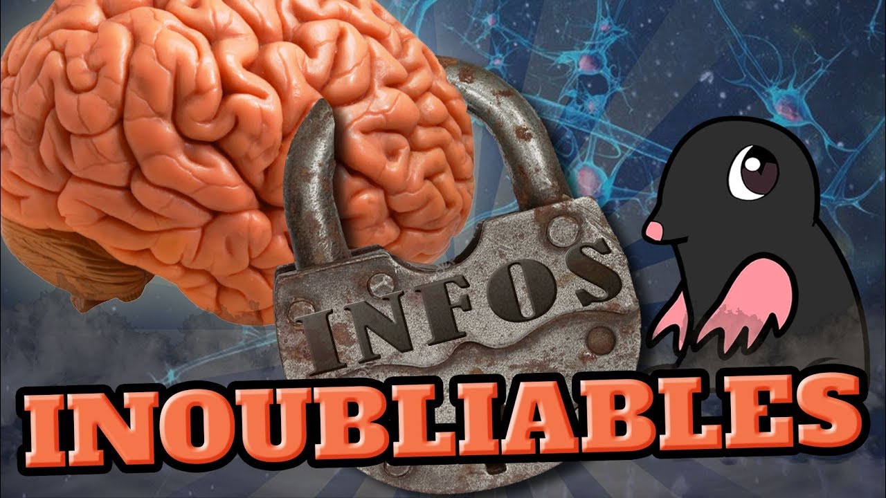 TOP 10 des INFOS QUE VOUS N’OUBLIEREZ PLUS JAMAIS