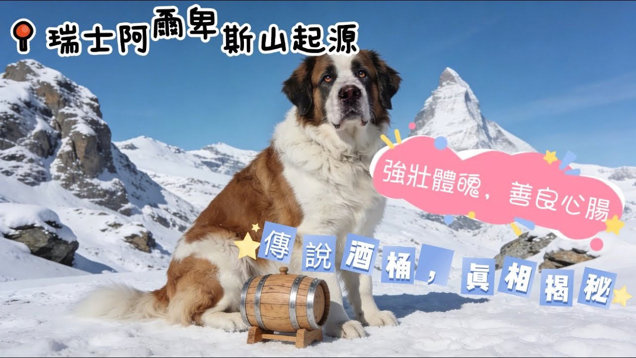 《吱喳講狗話》 EP18 - 聖伯納｜Saint Bernard | 救援兵| 搖尾巴巨獸|