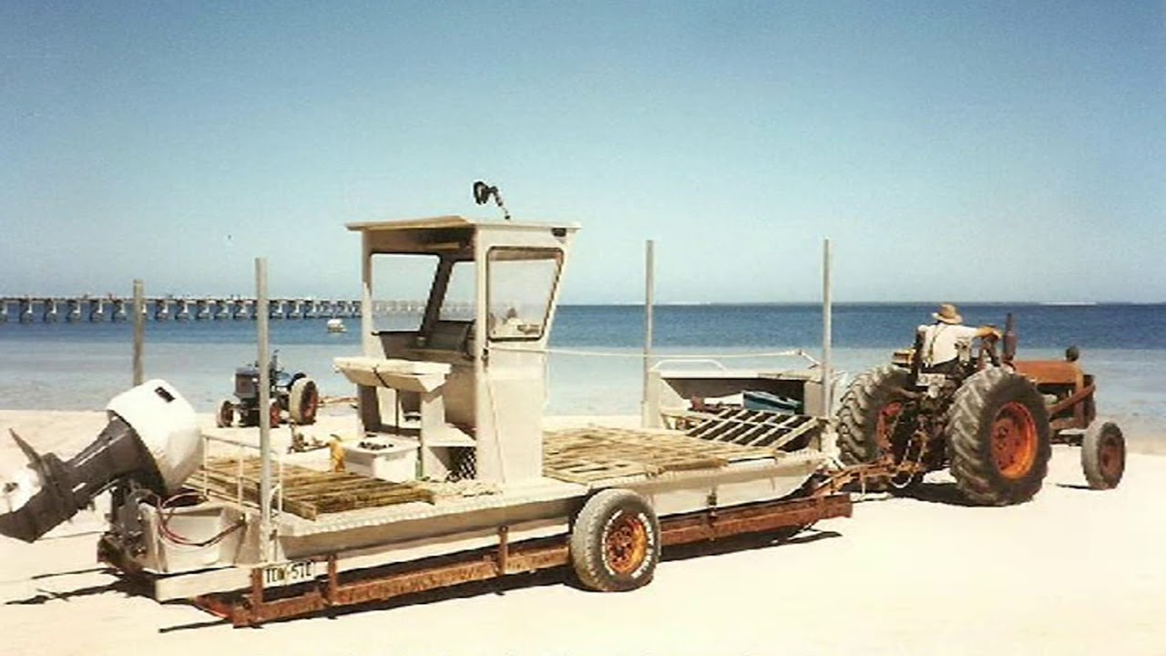 SMOKY BAY OYSTER INDUSTRY HISTORY PART 2