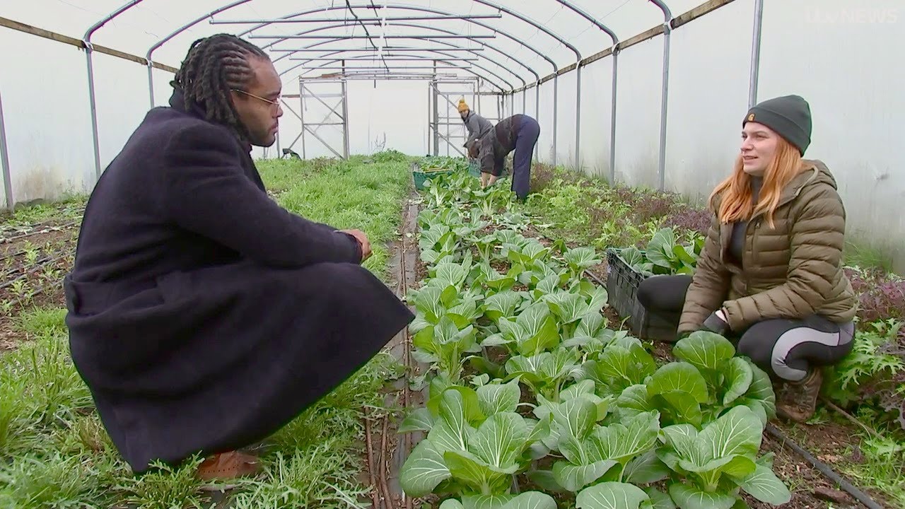Sutton Community Farm on ITV London News March 2023