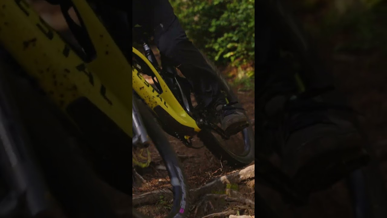 Siryon Twin Levity and Pedal Efficiency | Forestal Bikes