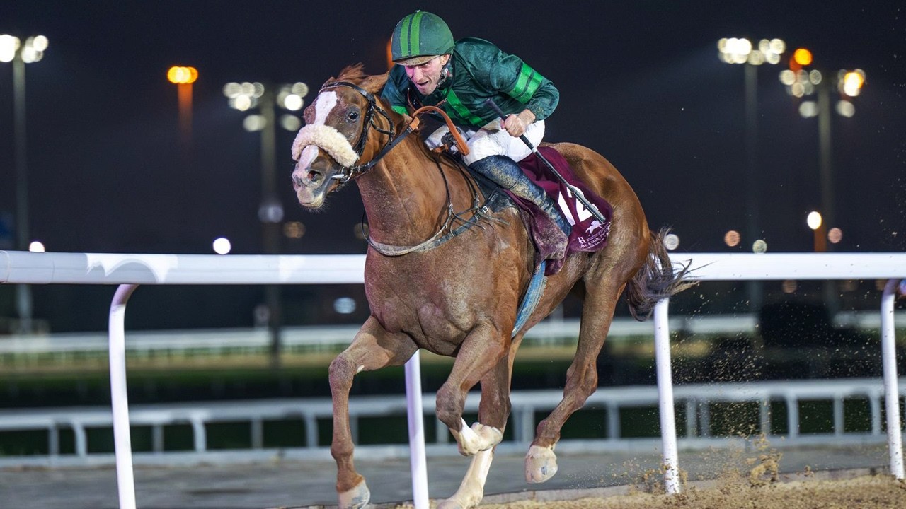 RM 49  Al Rayyan Race 6 -  H.H. The Amir Sword Festival - Day 2