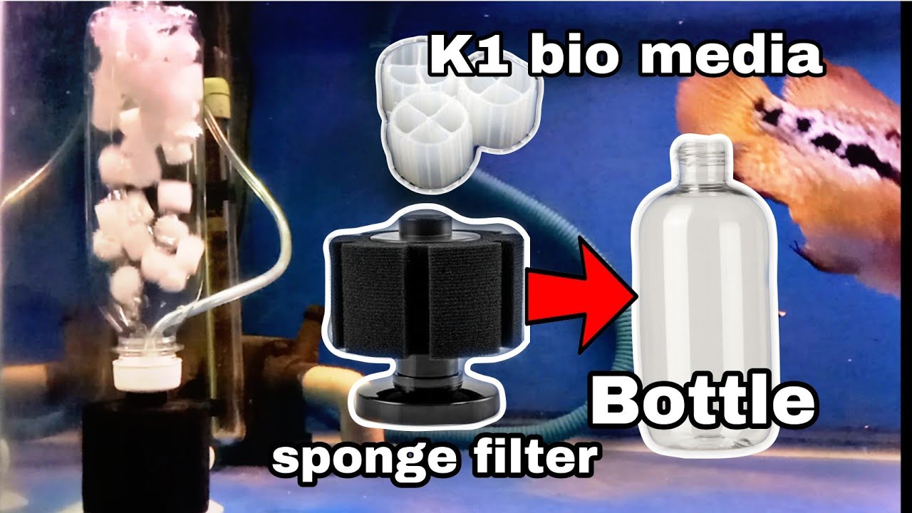 Adding K1 filter media on bio sponge filter #aquariumhobby #spongefilter