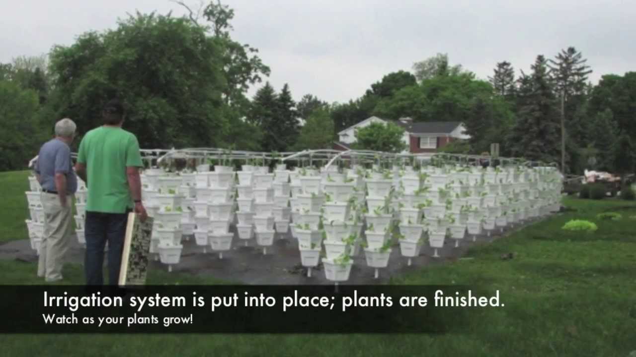 Vertical Growing Systems