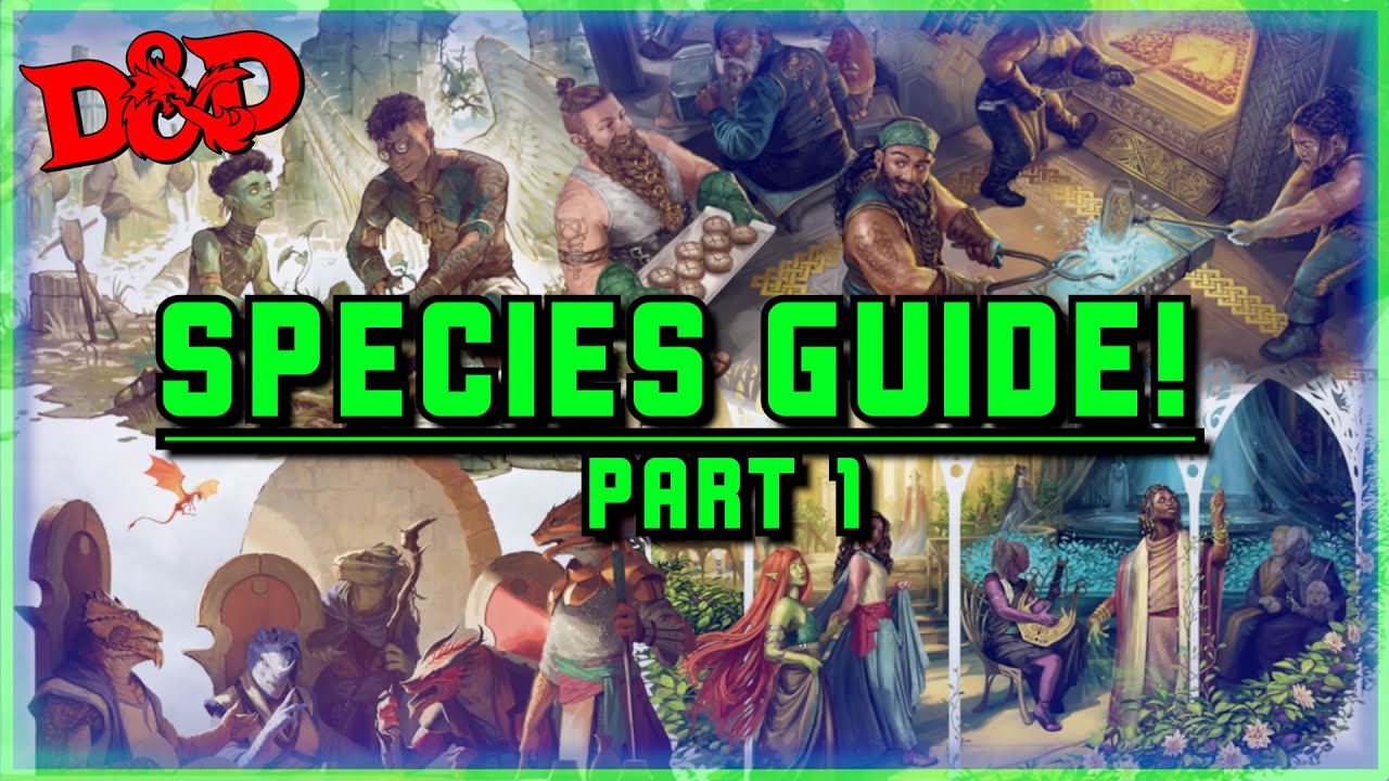 Every D&D 2024 Player Species In-Depth Review! (From A to G)