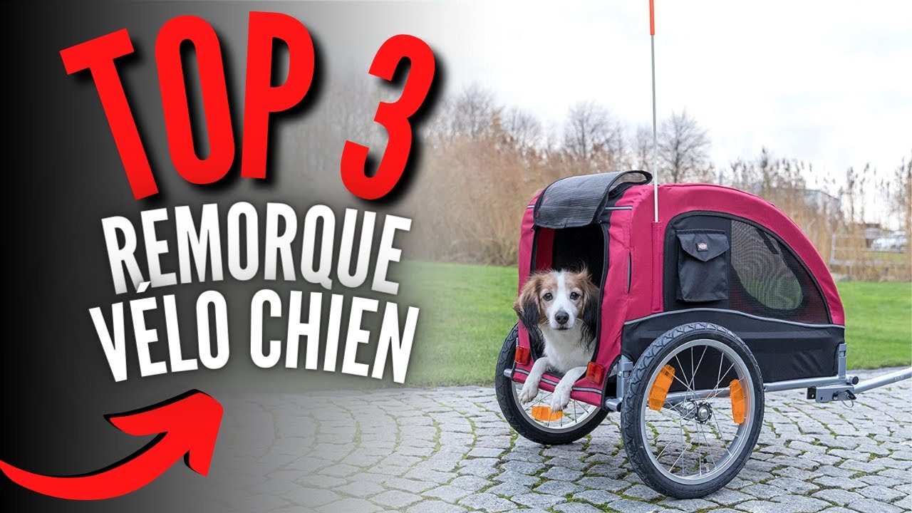 Meilleure Remorque Vélo pour Chien 2023 (Carriole)