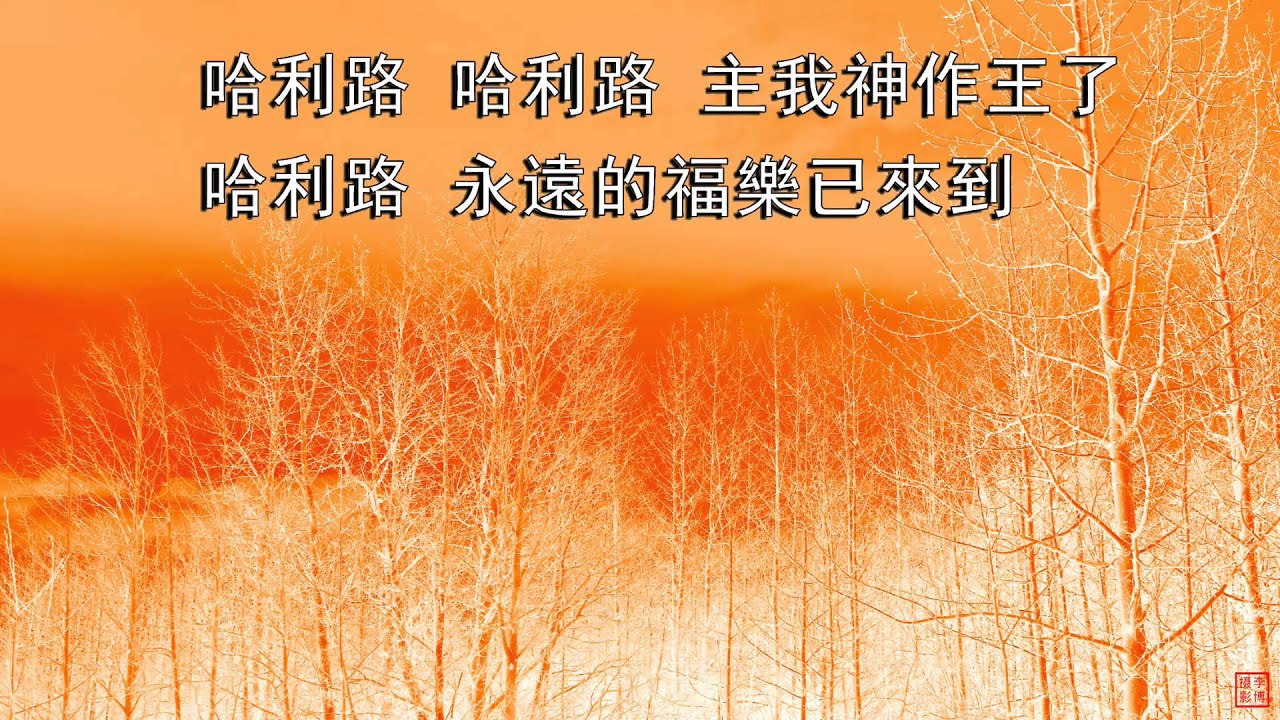 哈利路! 主我神作王了 | 小羊詩歌《盟約》專輯