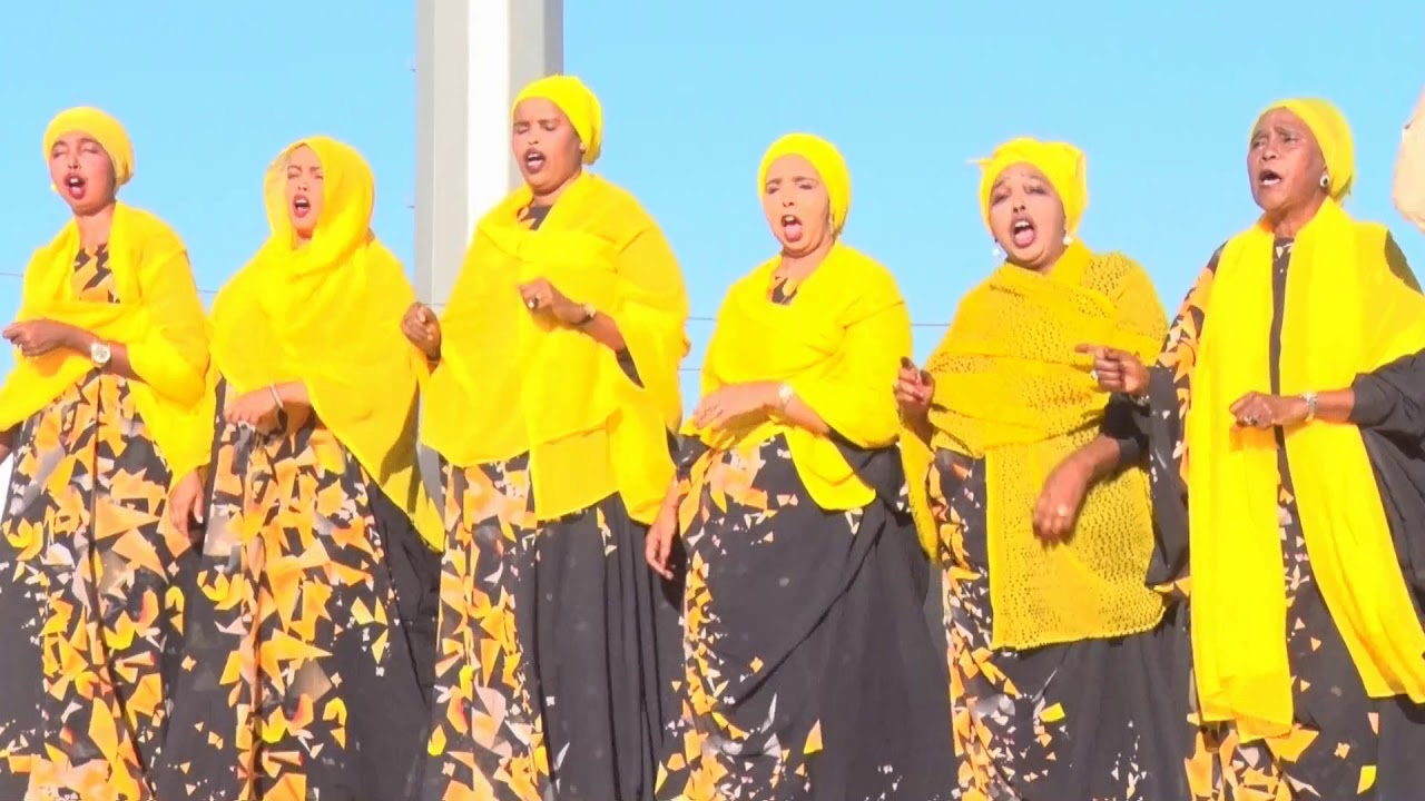 kooxda gaashaan heesta dhereg 2019