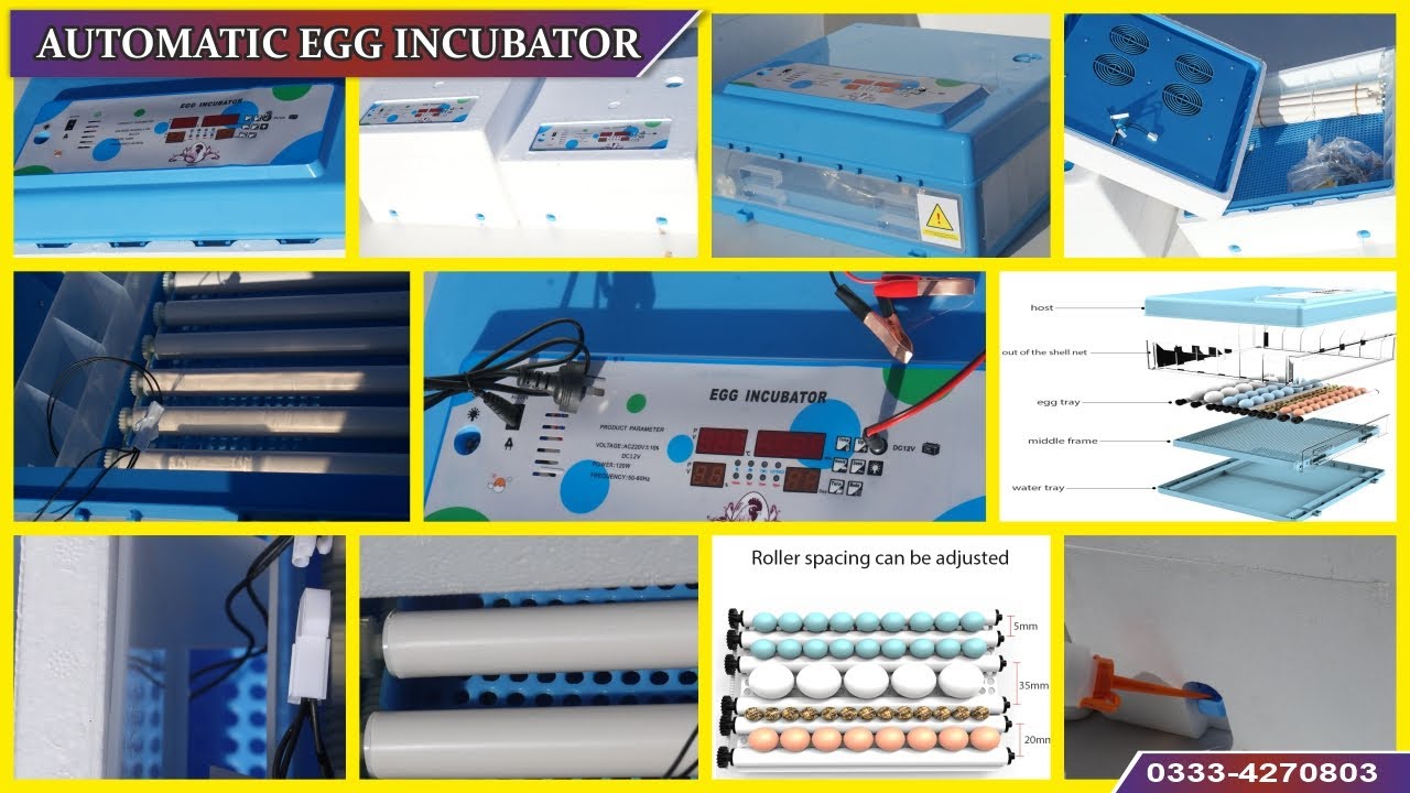 Automatic egg incubator  Automatic Egg turning 72 chicken eggs