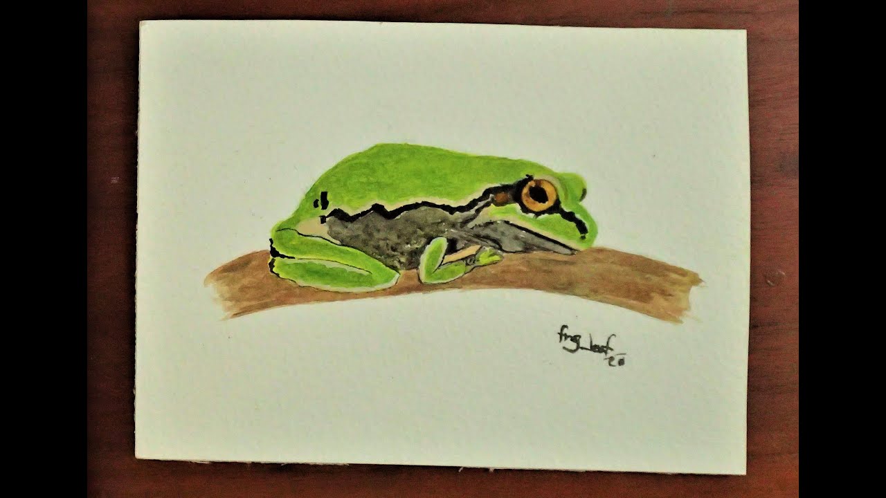 How To Paint Green Frog With Watercolors - small, quick and simple!
