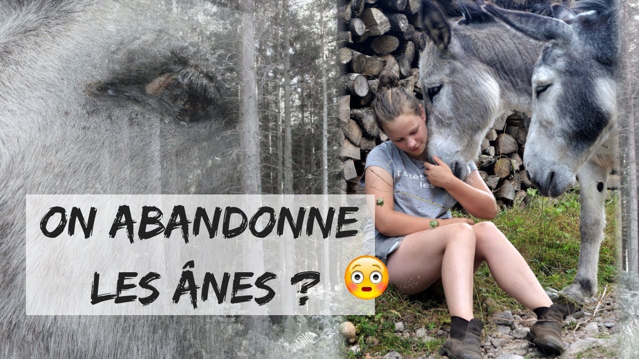 NOUVEAU PRÉ POUR LES ÂNES : UNE APRÈS-MIDI AVEC NOUS !
