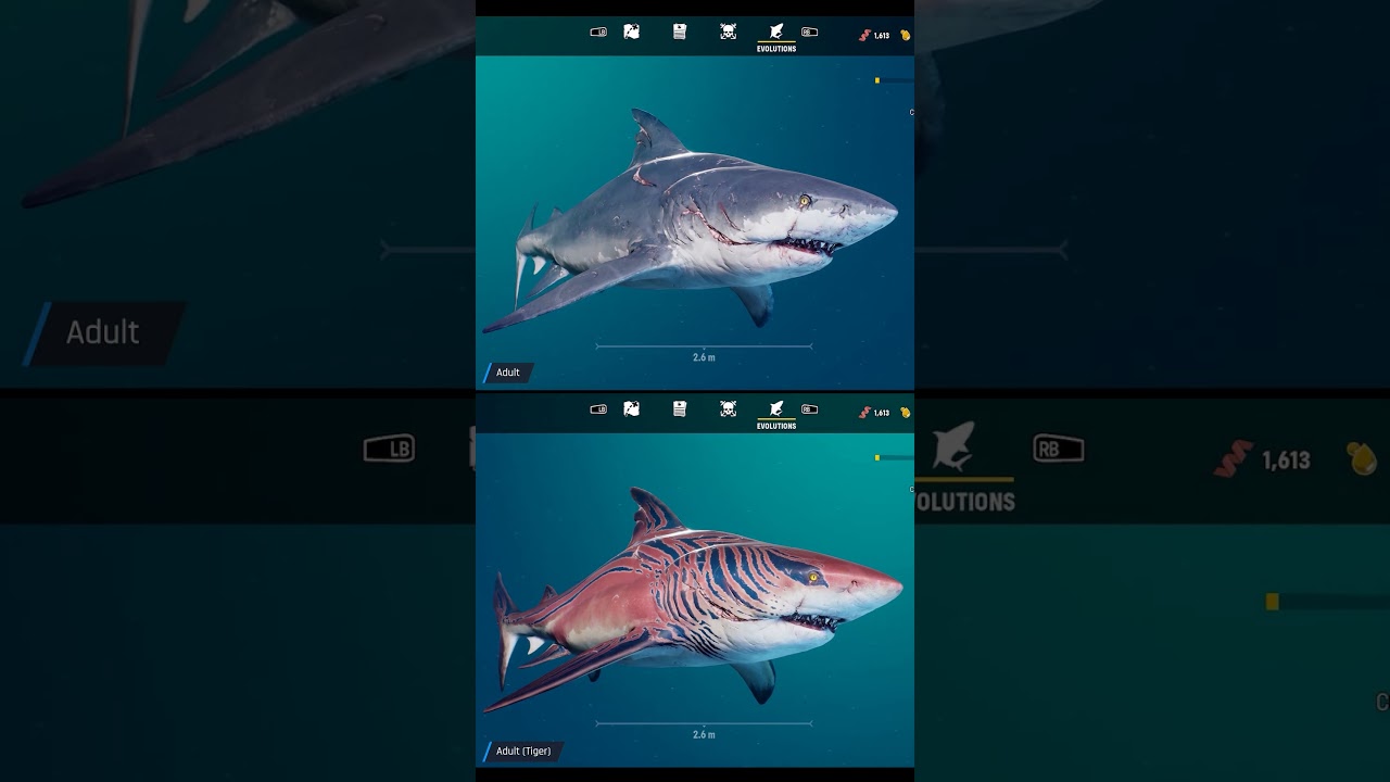 MANEATER ALL SHARKS EVOLUTION