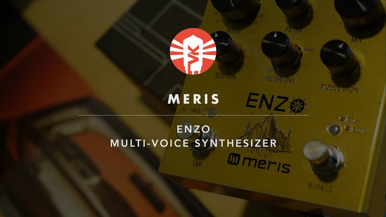 Meris Enzo | Synthesizer Pedal | Vintage King