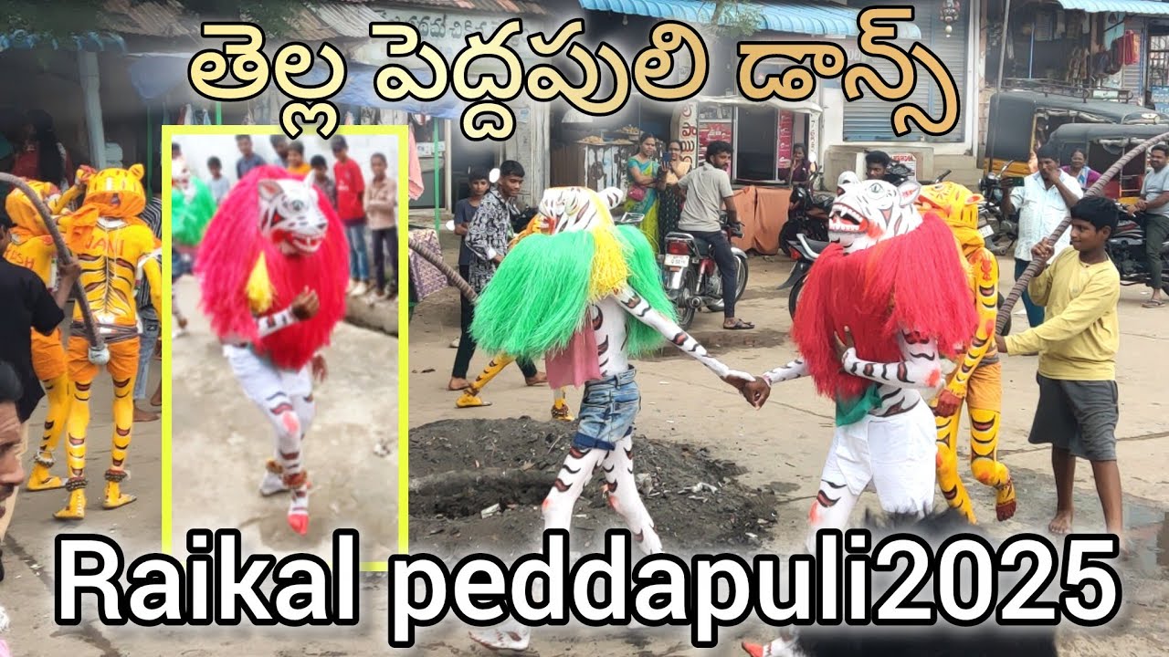 తెల్ల కలర్ పెద్దపులి raikal lo peddapuli white colour peddapuli moharram raikal2025