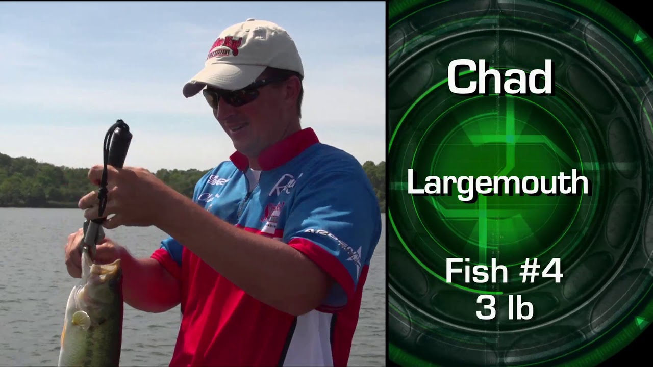 7-Bass Battles with Denny & Chad Brauer Newton Lake Illinois