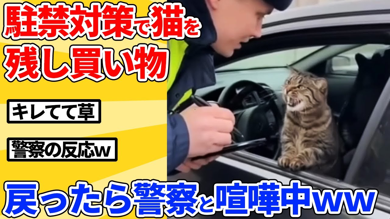【2ch動物スレ】駐禁対策で猫を置いて買い物→戻ったら警察と喧嘩してたｗｗｗｗｗ