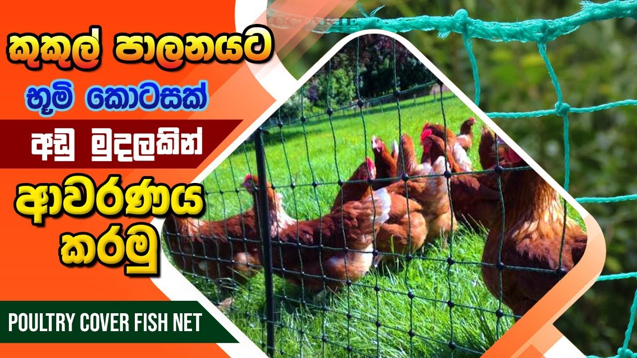 භූමි කොටසක් අඩු මුදලකින් ආවරණය කරමු,කුකුළු දැල්, BST Saman, Poultry cover fish net