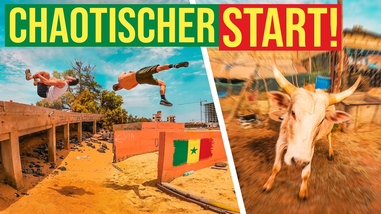 POLIZEI-Kontrolle, Kuh-ATTACKE & Naturspektakel im SENEGAL! 🇸🇳 | Roadtrip durch Westafrika!