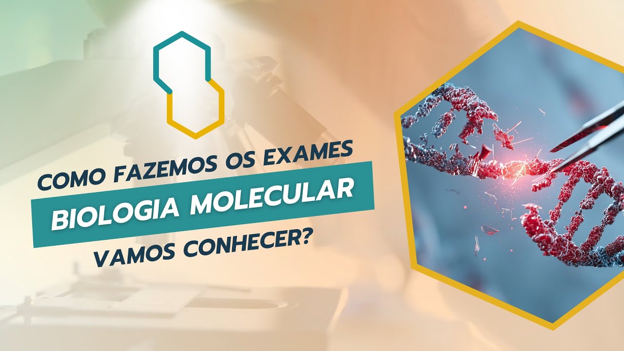 Biologia Molecular: Passo a passo de como fazermos os exames aqui no Laboratório Santa Clara