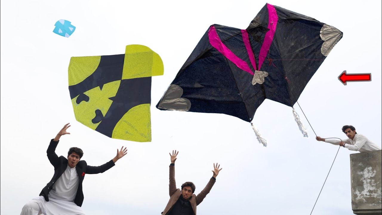 New Design Double Kite Flying