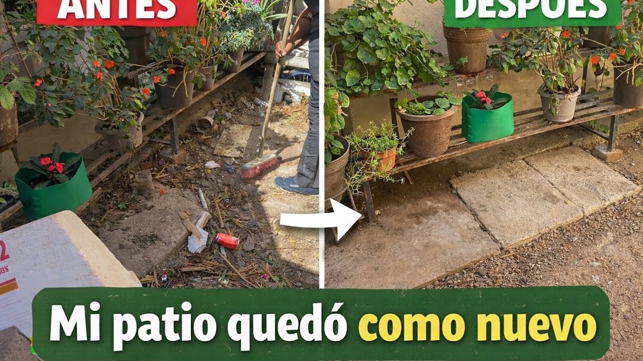 Cuidando Mis Plantas /Arreglando el jardín, limpiando el patio 