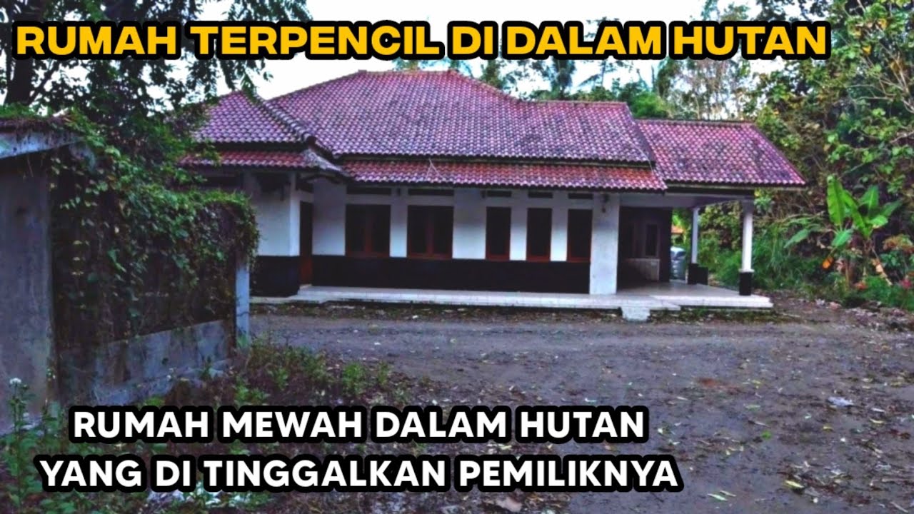 DIKIRA RUMAH MEWAH KOSONG TERNYATA ADA MANUSIA YANG TINGGAL DI RUMAH TENGAH HUTAN