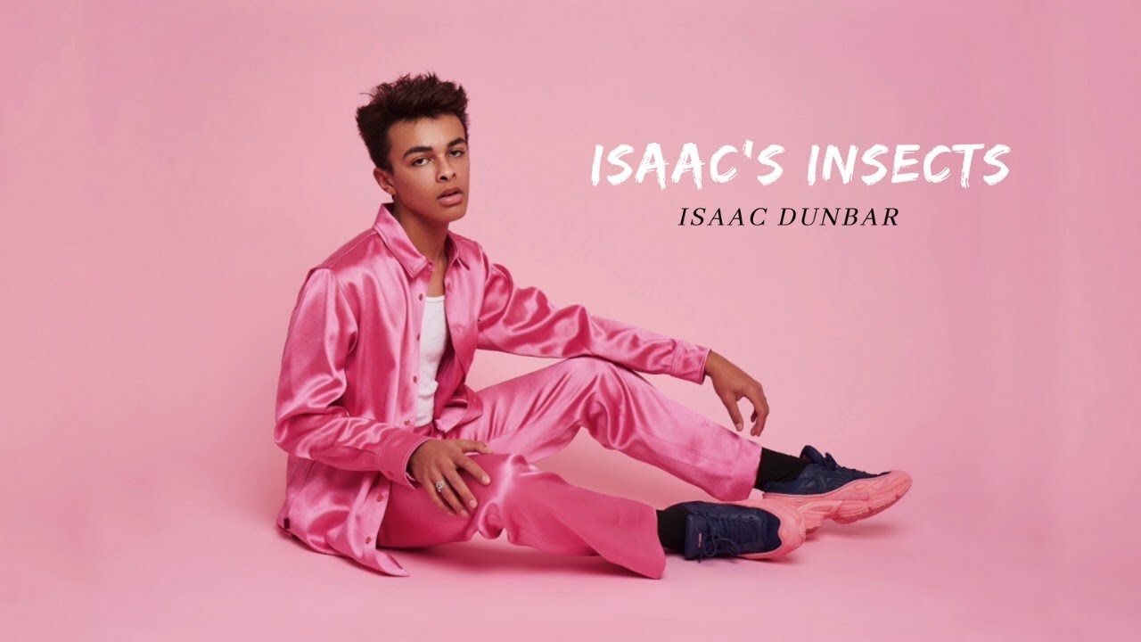 Isaac Dunbar - Isaac's Insects (empty arena)