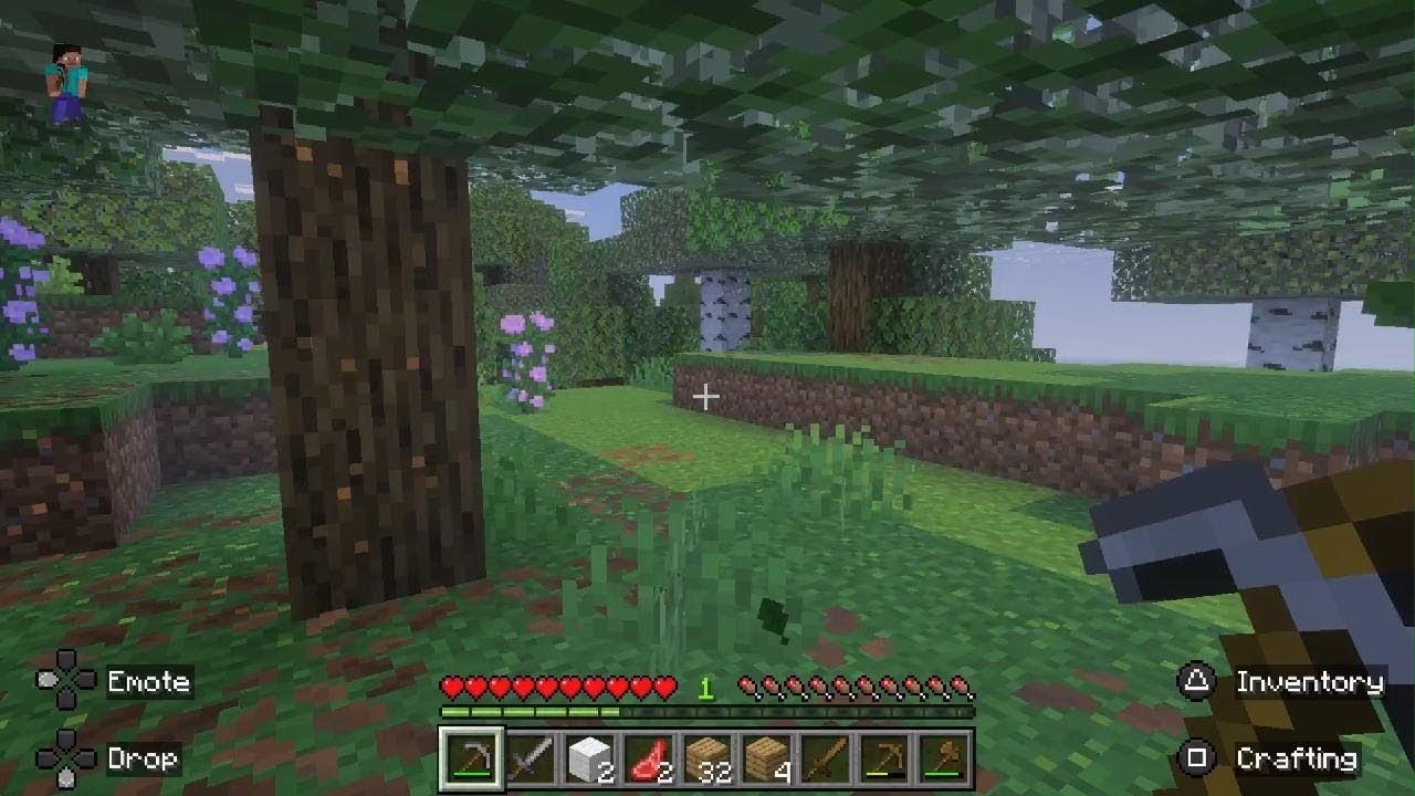 Minecraft pt1
