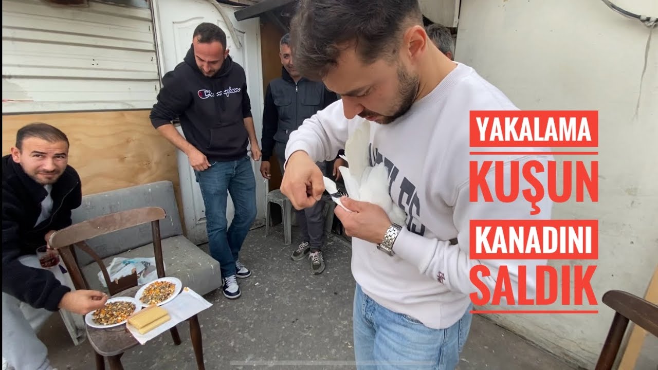 KÜMES ZİYARETİN DE YAKALAMA DOLAPÇININ KANADINI AÇTIK UÇURDUK