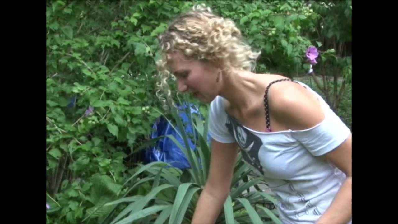 Songwriter-Painter SUMMER in Philadelphia 