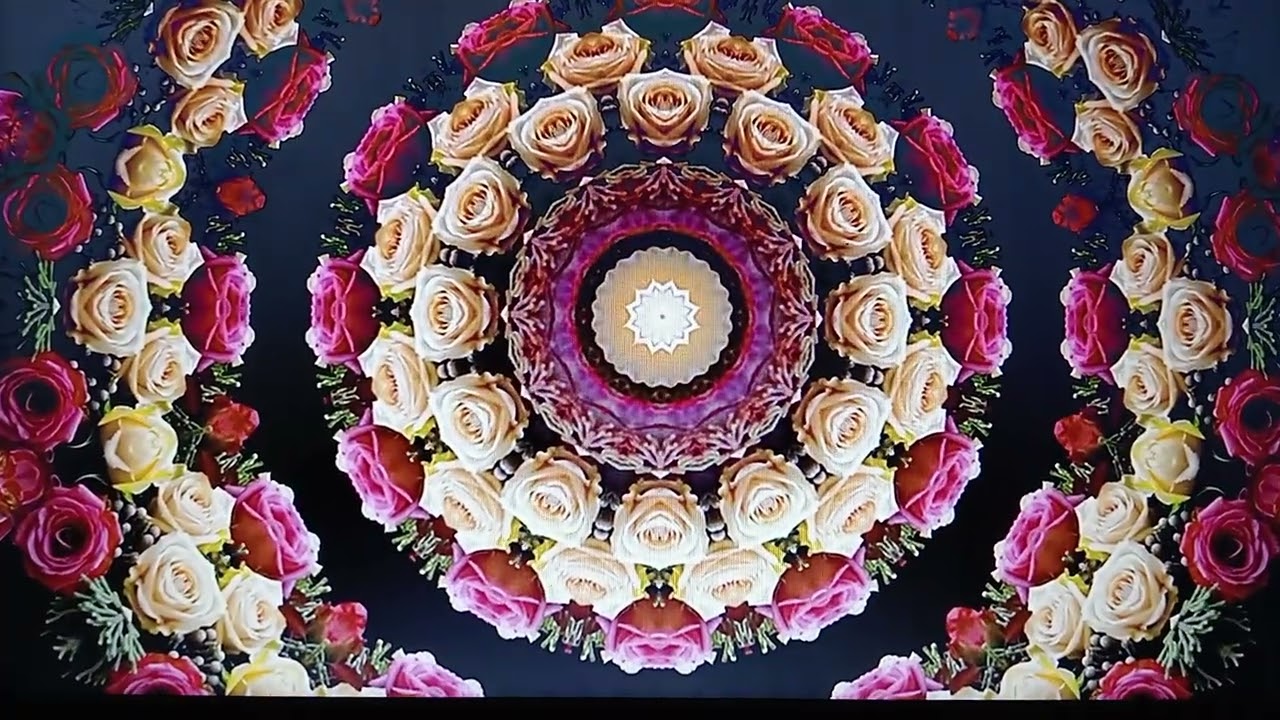 CONFERENCIA 11: Sabiduría de sí mismo