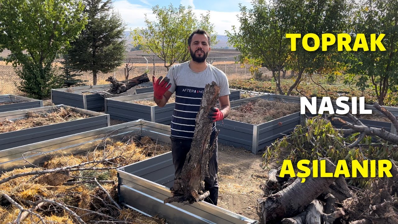 Verimsiz bahçe toprağı aşılanarak nasıl yüksek verimli bir hale getirilir ?