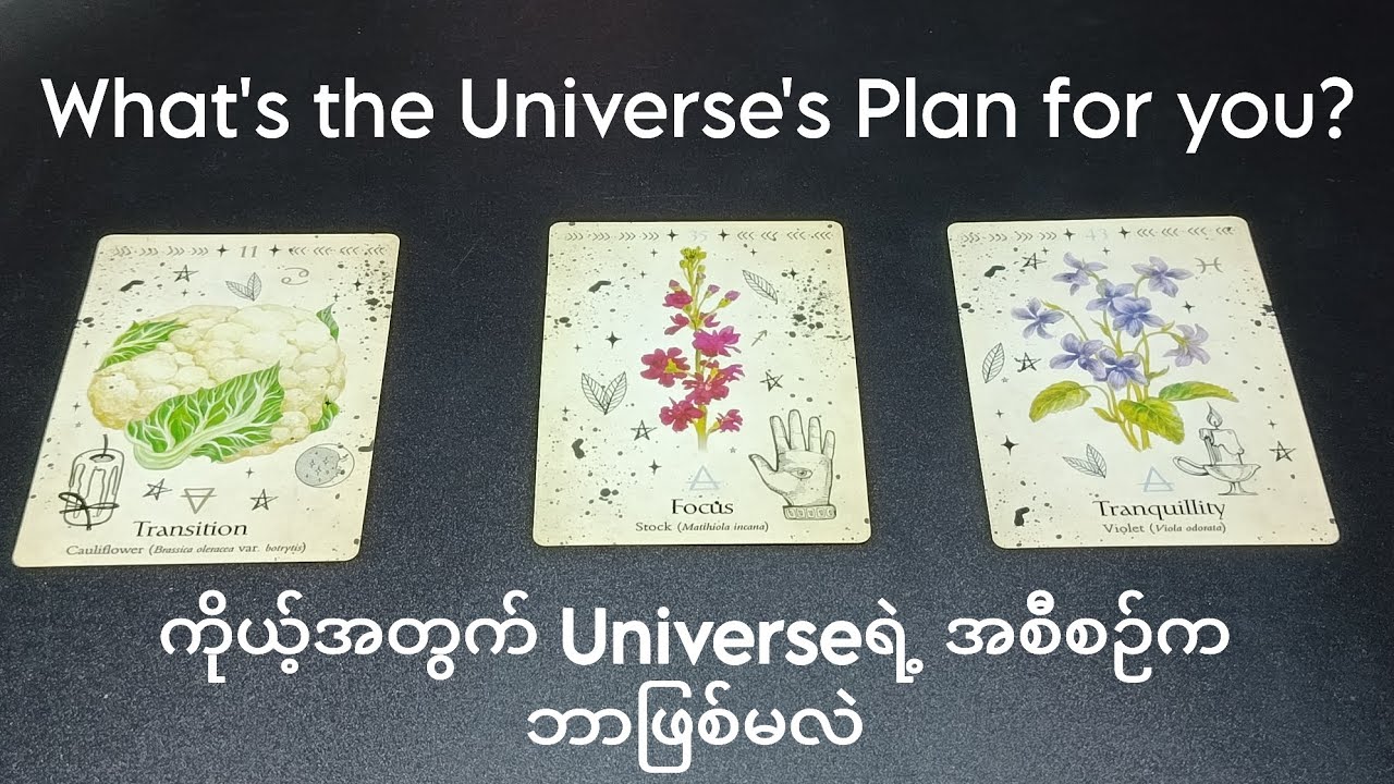 💌 ကိုယ့်အတွက် Universeရဲ့ အစီစဉ်က ဘာဖြစ်မလဲ  💌
