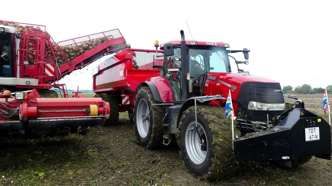 Bieten oogst 2022  met Agrifac-Hexa. Feunekes & Speelman.