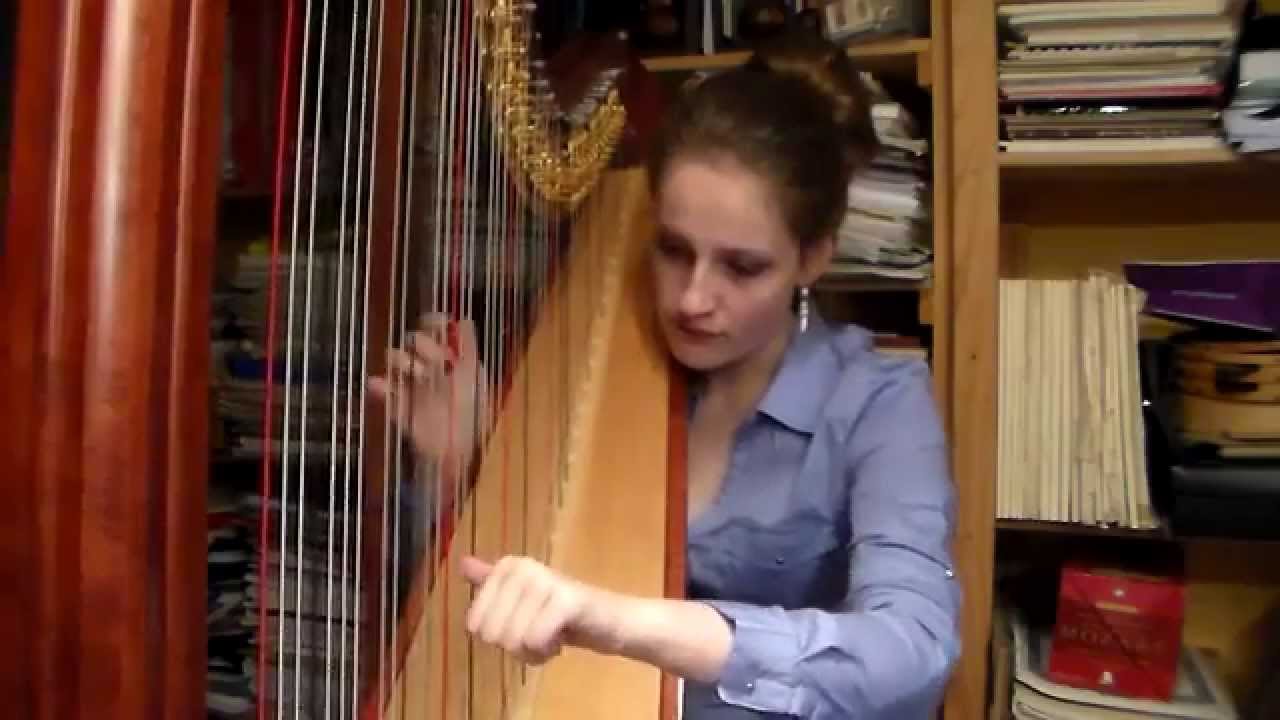 Maroon 5 - Animals (Harp Cover)