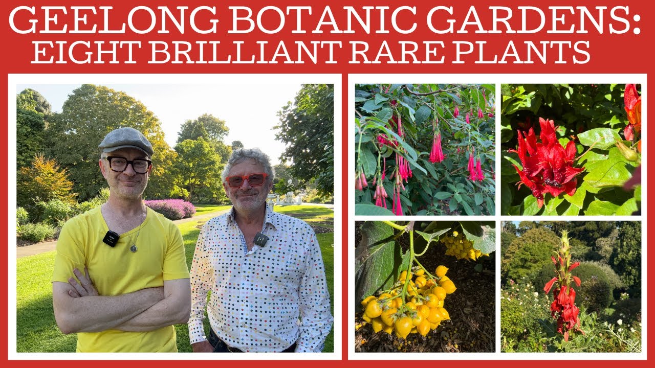 Geelong Botanic Gardens: eight brilliant rare plants!
