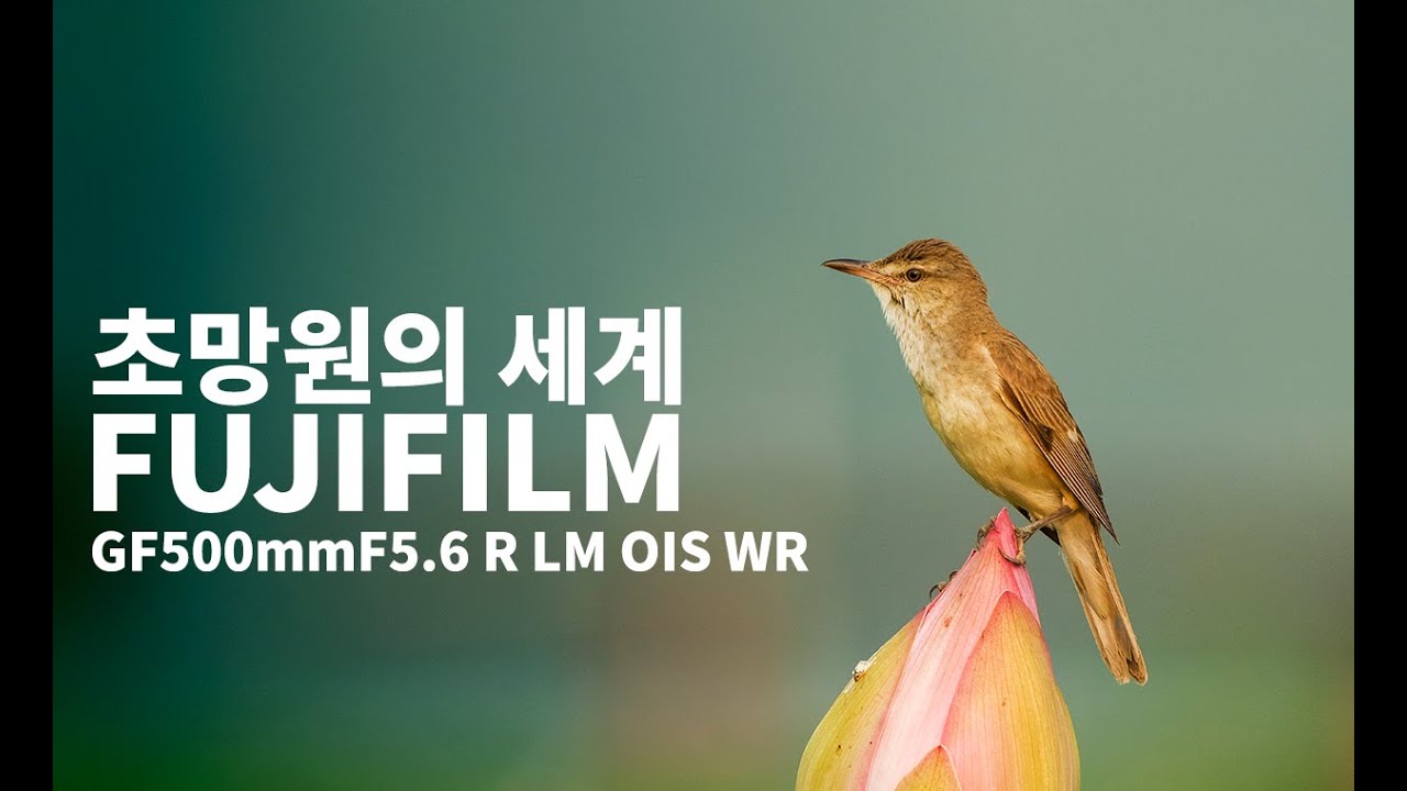 후지필름 GF500mm F5.6 R LM OIS WR 리뷰 