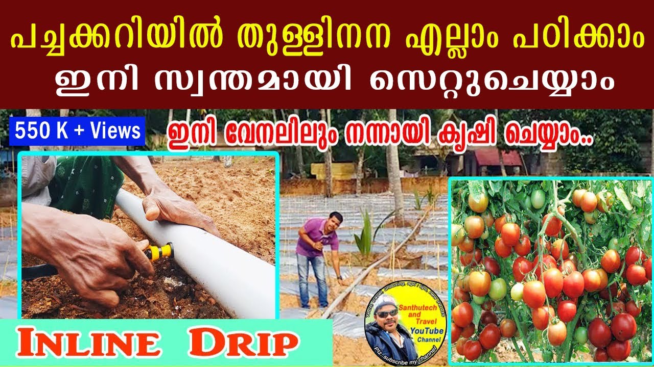 തുള്ളി നന ഫിറ്റിങ് പഠിക്കണോ എങ്കിൽ വീഡിയോ കാണു 👌🏻🔥 | drip irrigation system #drip_irrigation #krishi