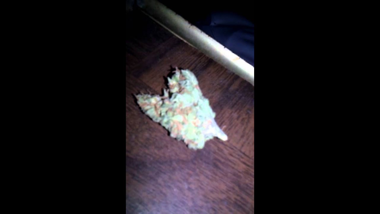 Bomb azz kush n Master ku$h